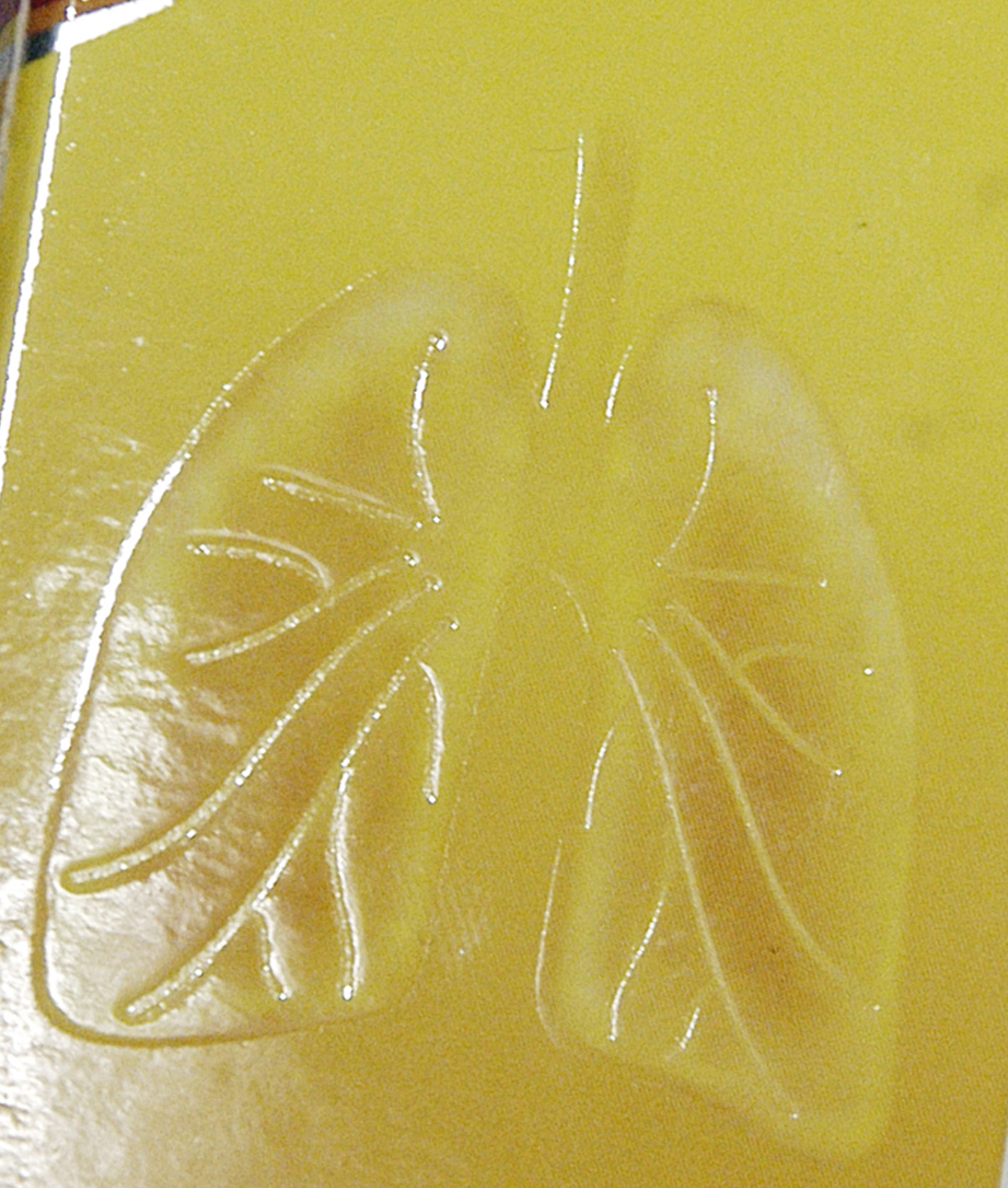 3D EMBOSSING